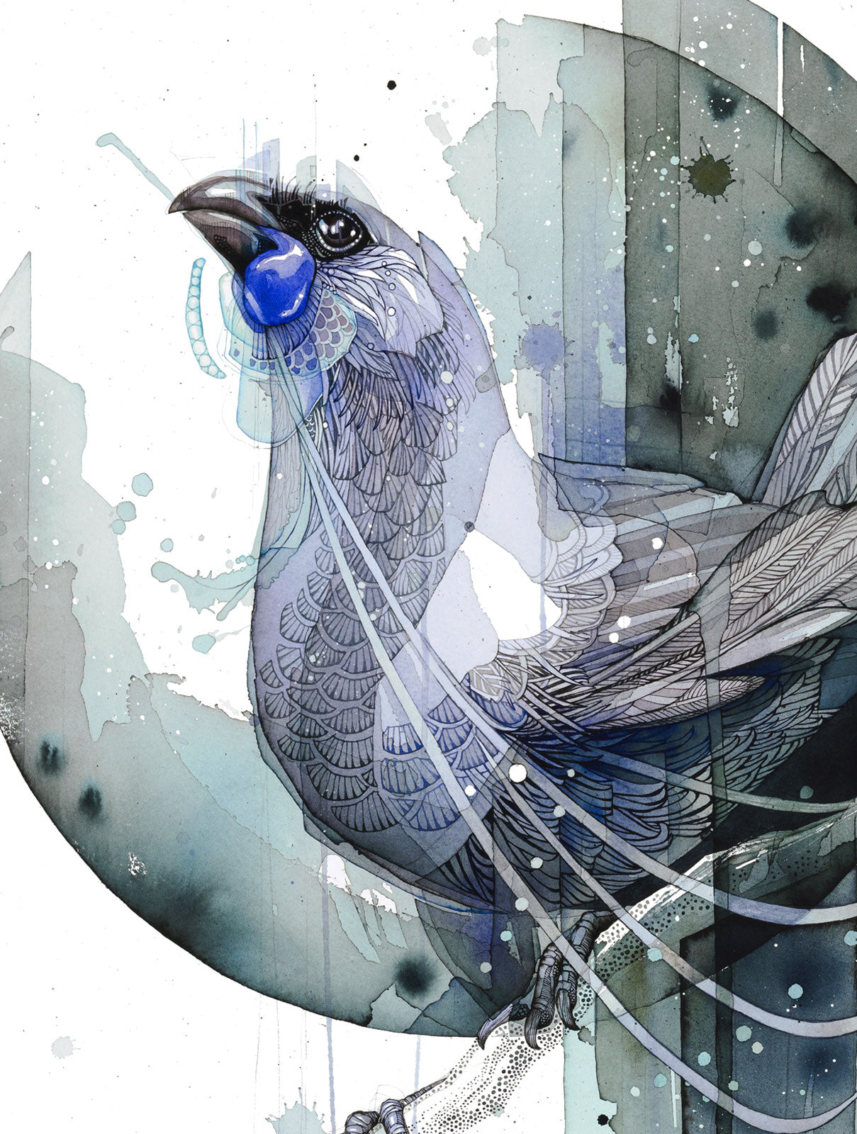 Echo Kōkako - Original Painting