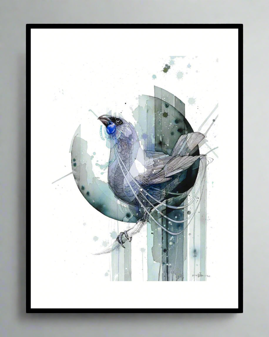 Echo Kōkako - Original Painting