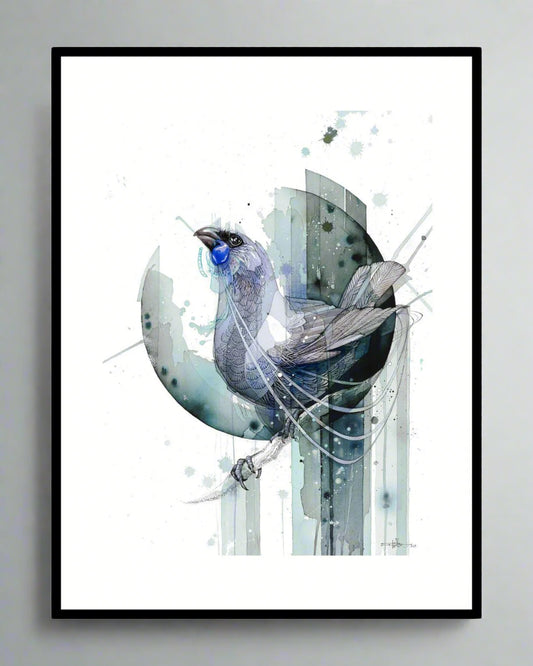 Echo Kōkako - Original Painting