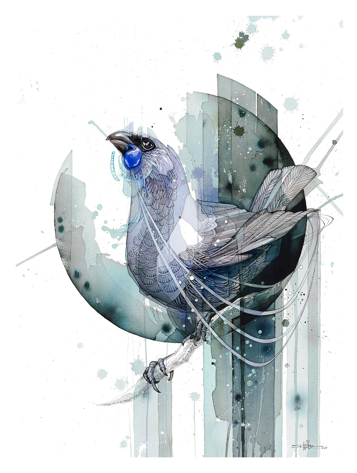 Echo Kōkako - Original Painting