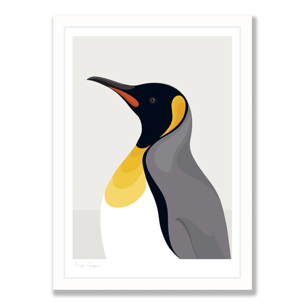 King Penguin grey