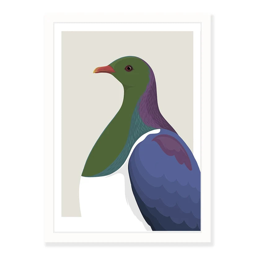 Kererū Profile