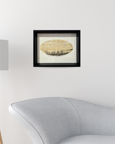 Around the Bays Flax