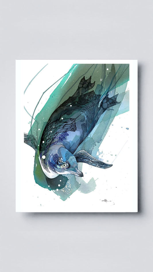 Little Blue Diver