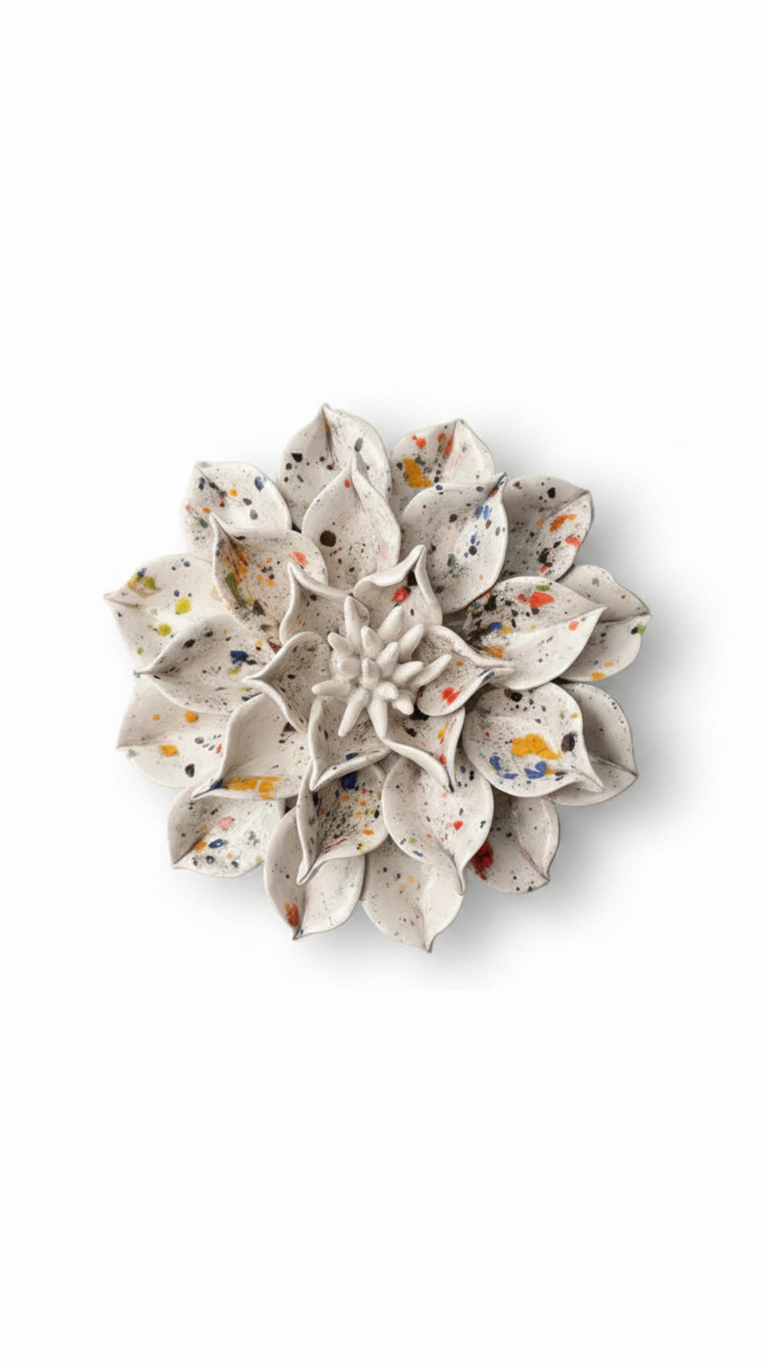 Dahlia in White Confetti