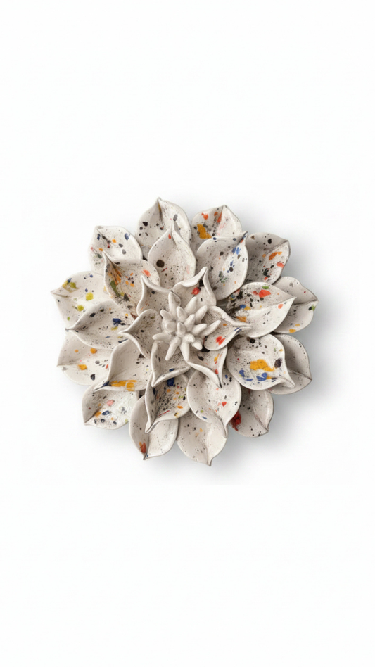 Dahlia in White Confetti