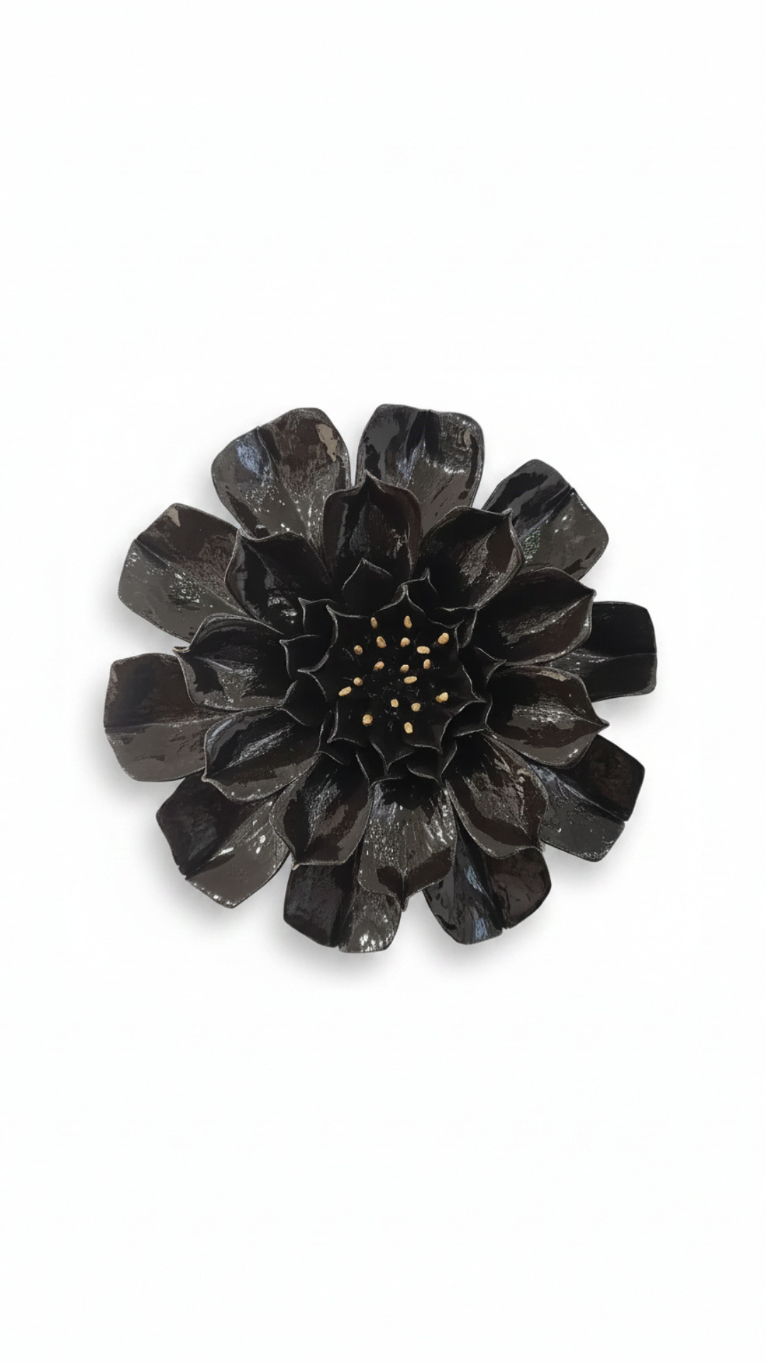 Dahlia in Black