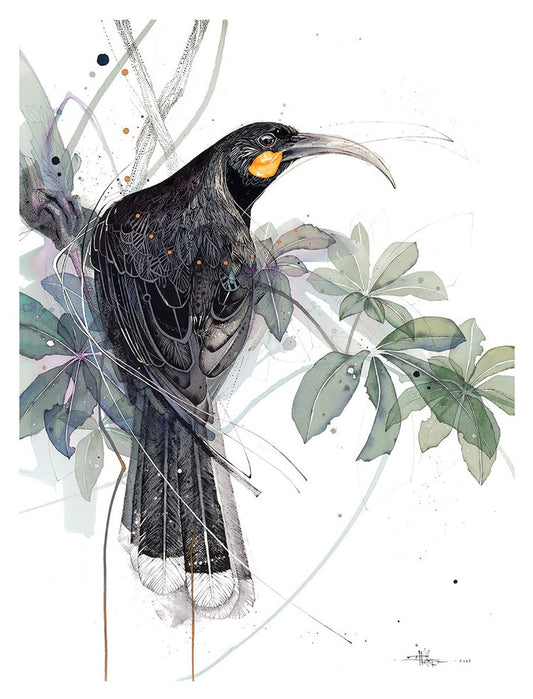 Huia (Watercolour Seven-Finger version)