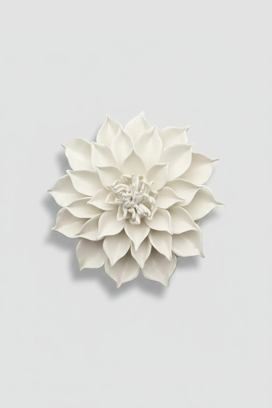 Dahlia in White