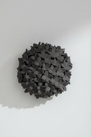 Hydrangea in Black