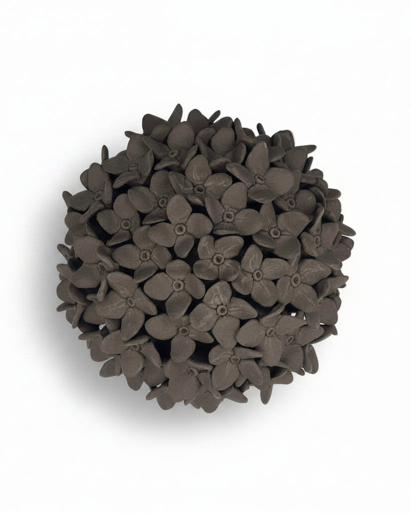 Hydrangea in Black