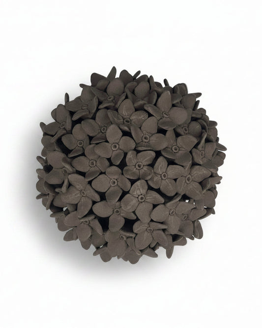 Hydrangea in Black