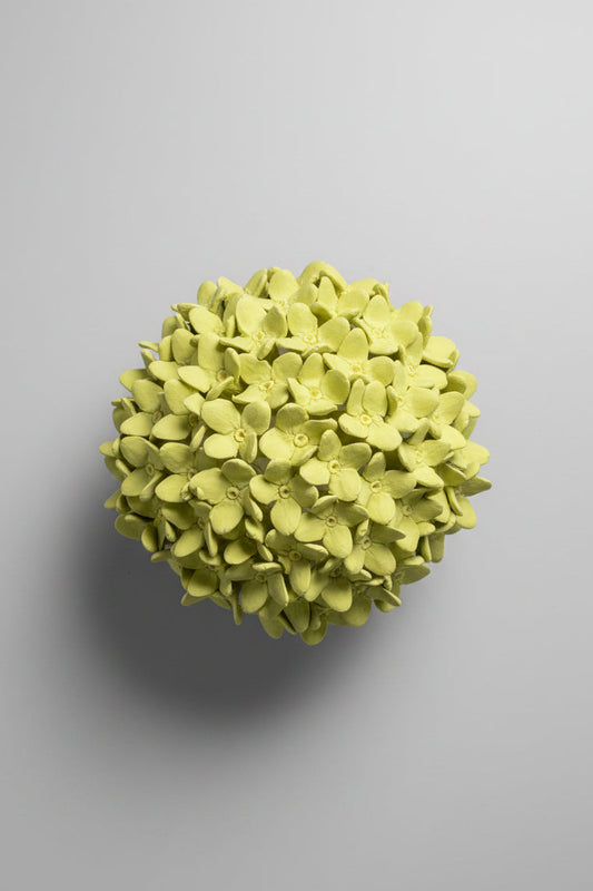 Hydrangea in Pistachio