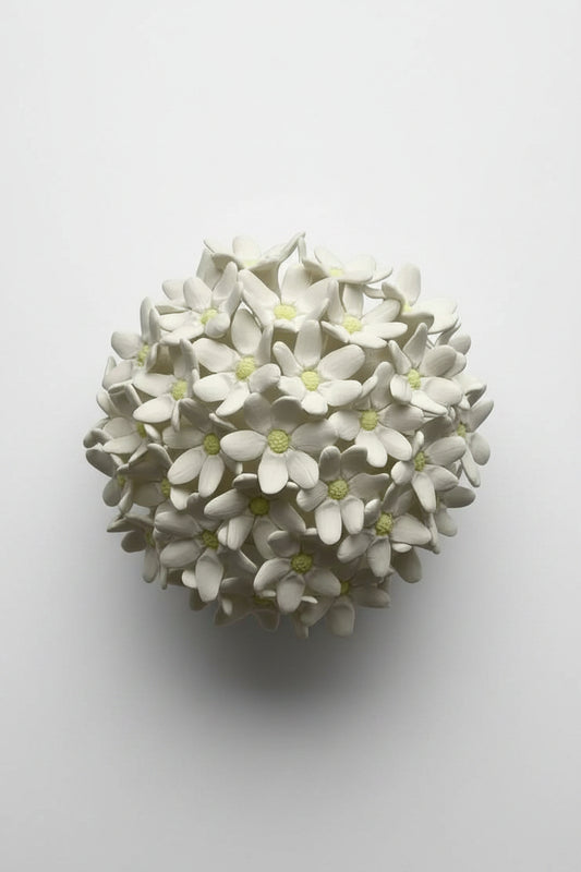 Hydrangea in White