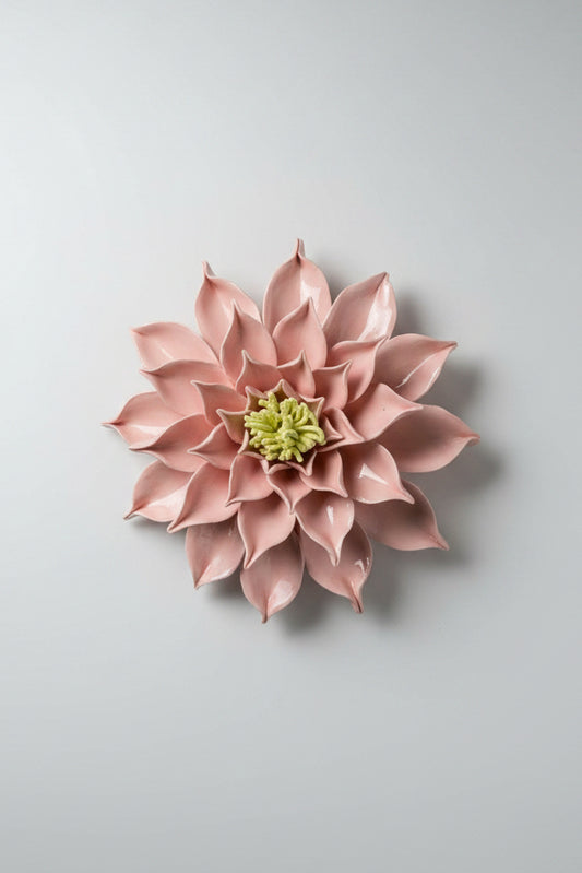 Dahlia in Pink