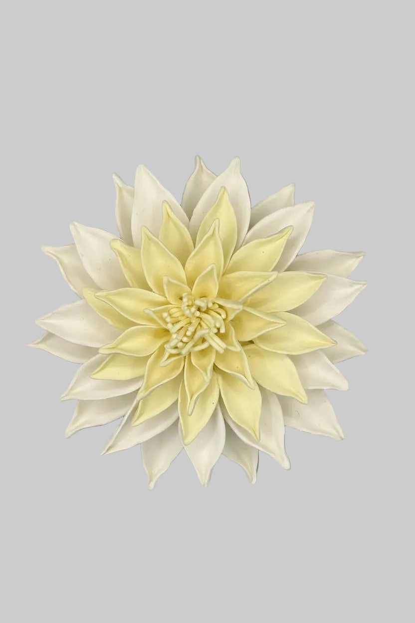 Dahlia in Yellow