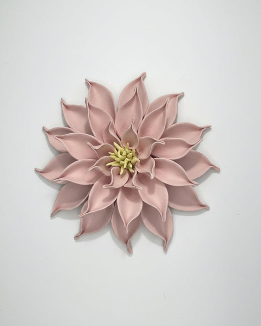 Dahlia in Pink with Yellow Stamems