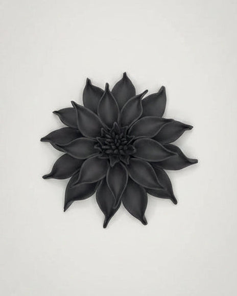 Dahlia in Black