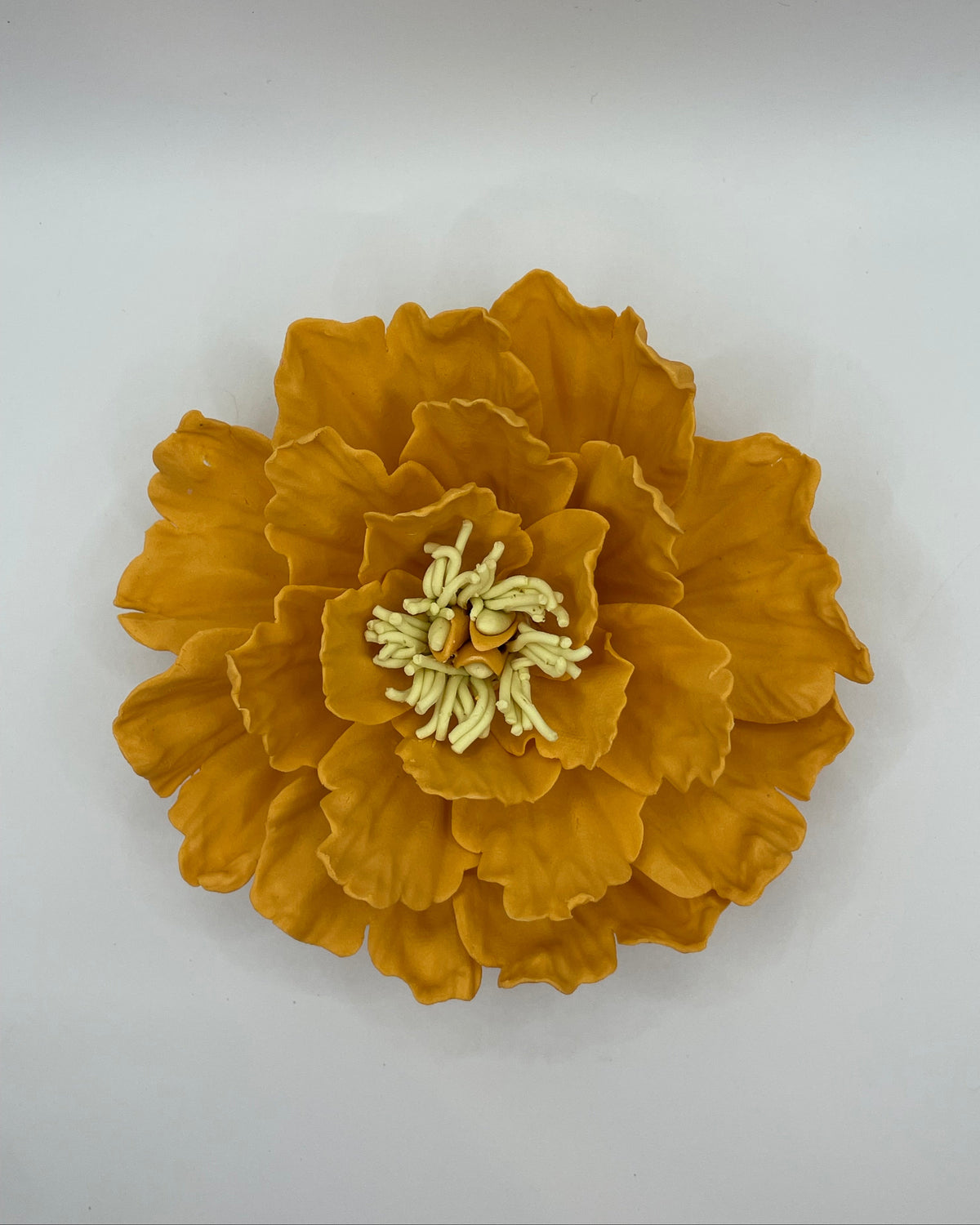 Peonies in Orange
