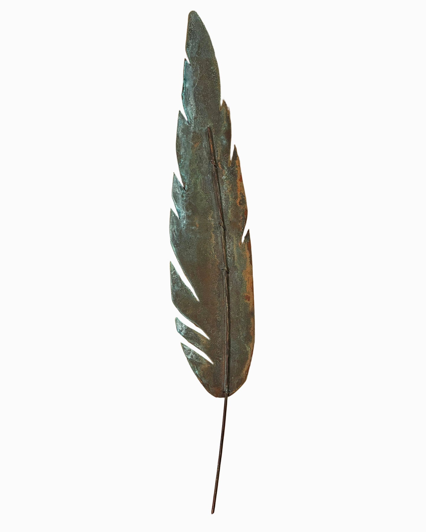 Copper Smooth Leaf Medium