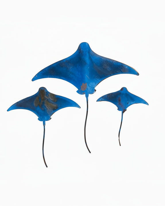 Stingrays - Set of 3