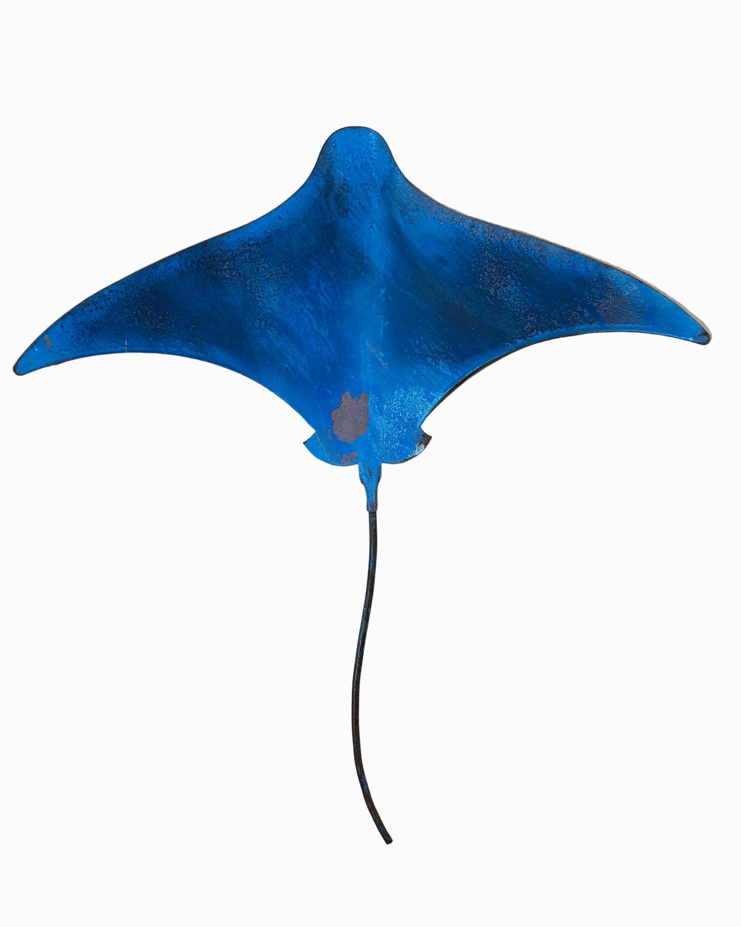Stingrays - Set of 3