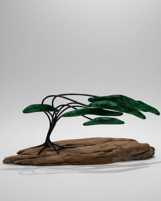 Windy Wellington Tree
