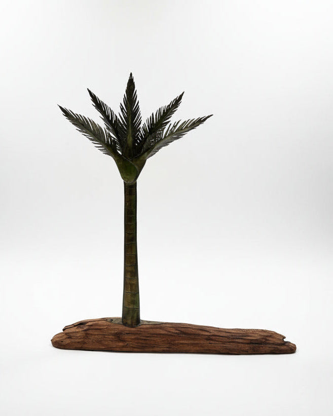 Nikau on Driftwood