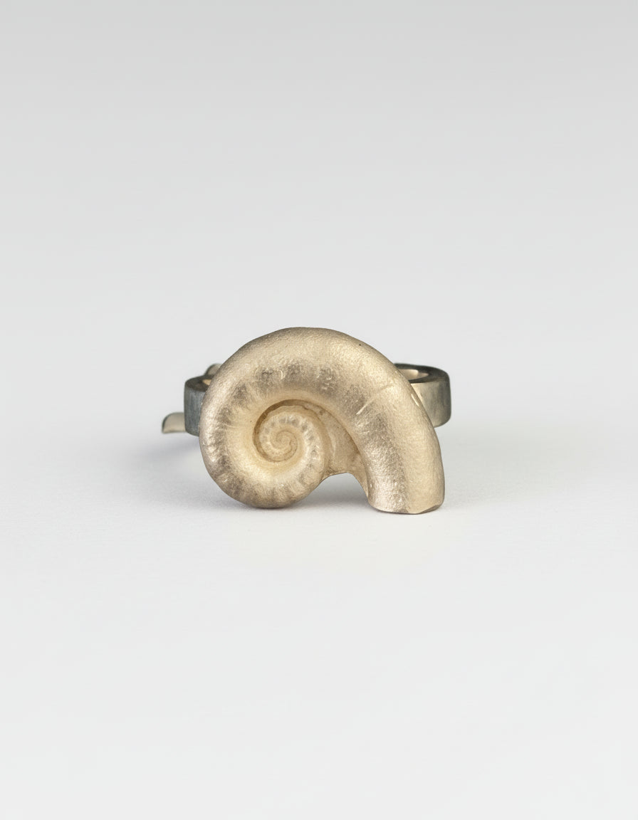 Squid Ring