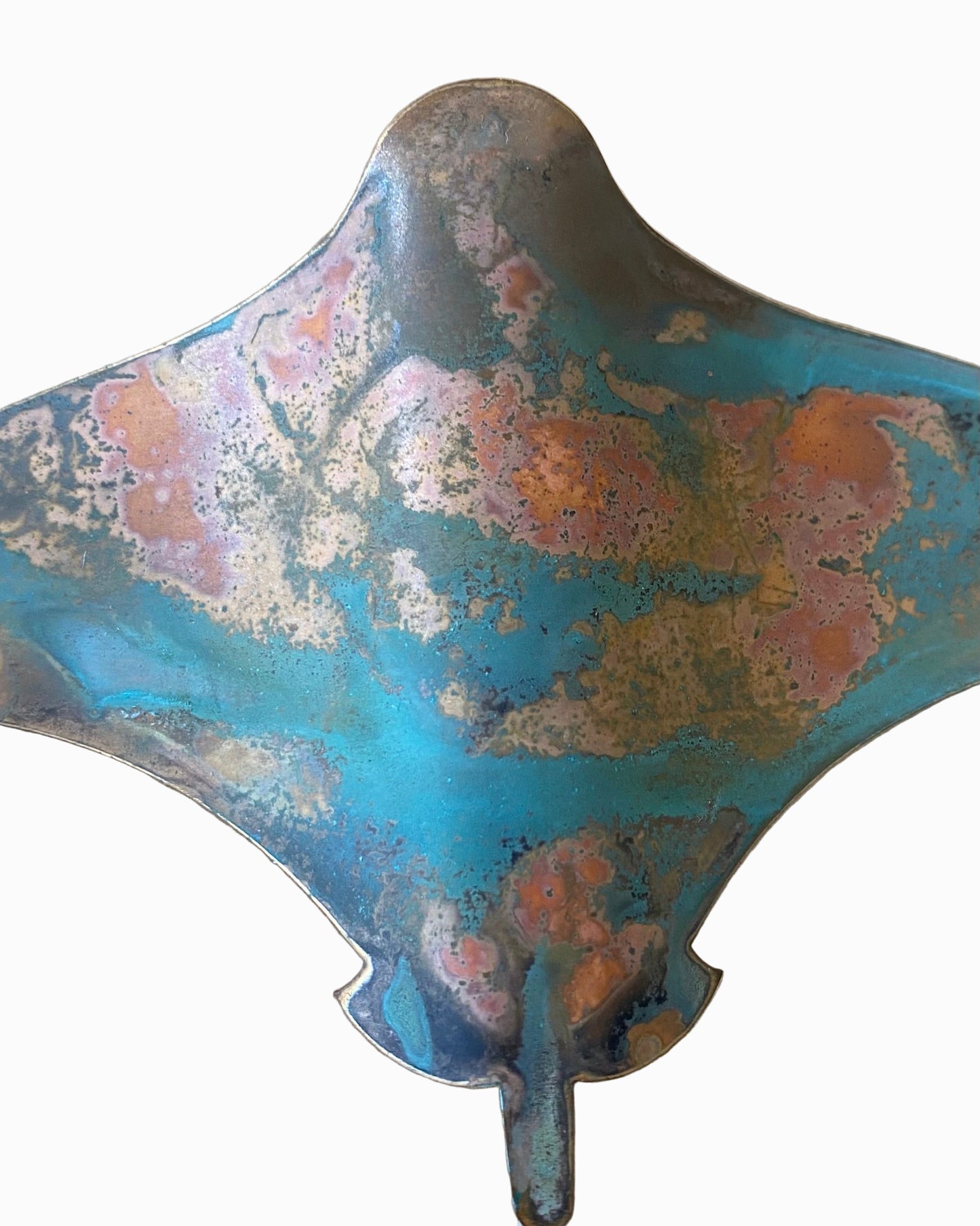 Stingrays - Set of 3