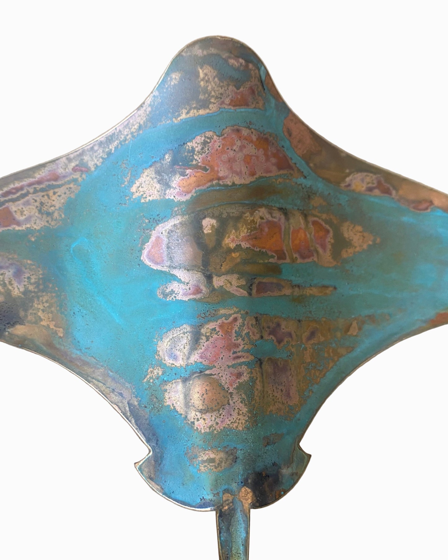 Stingrays - Set of 3