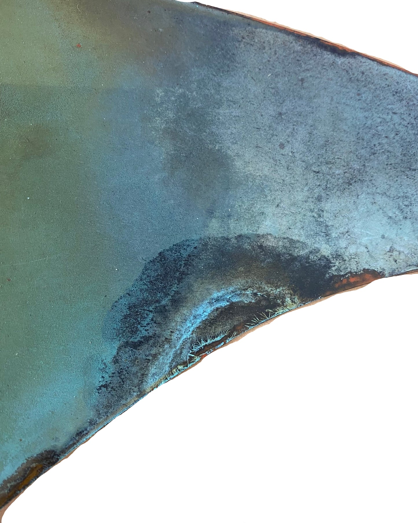 Manta Ray - Extra Large