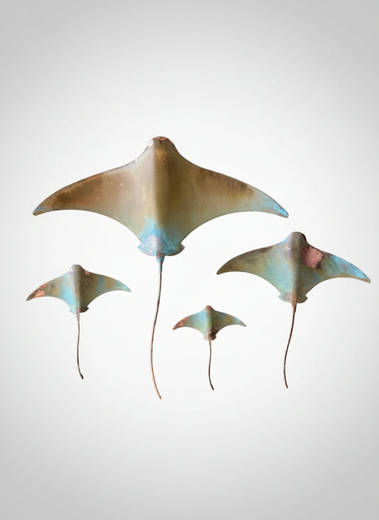 Stingrays - Set of four