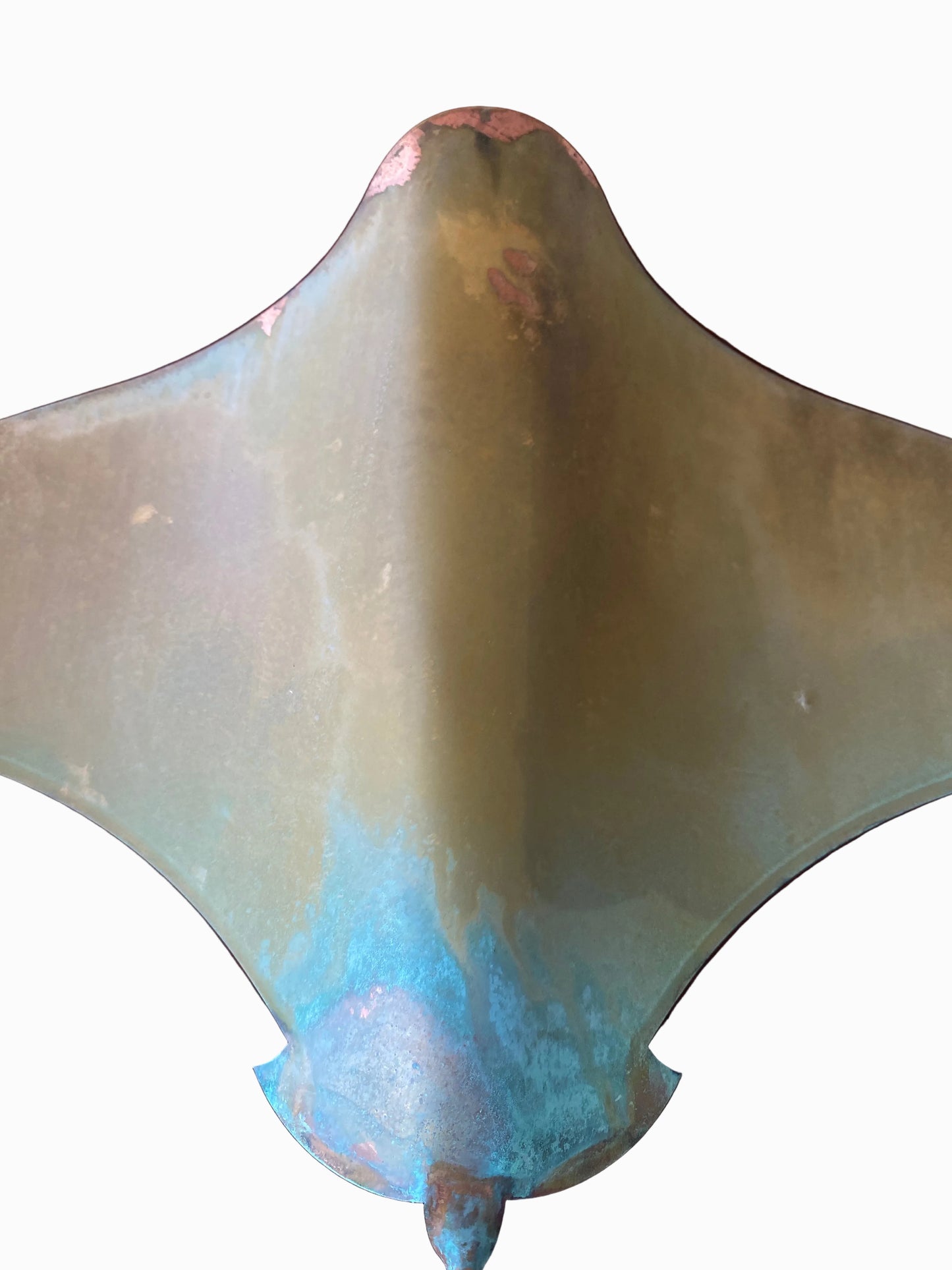 Stingrays - Set of four