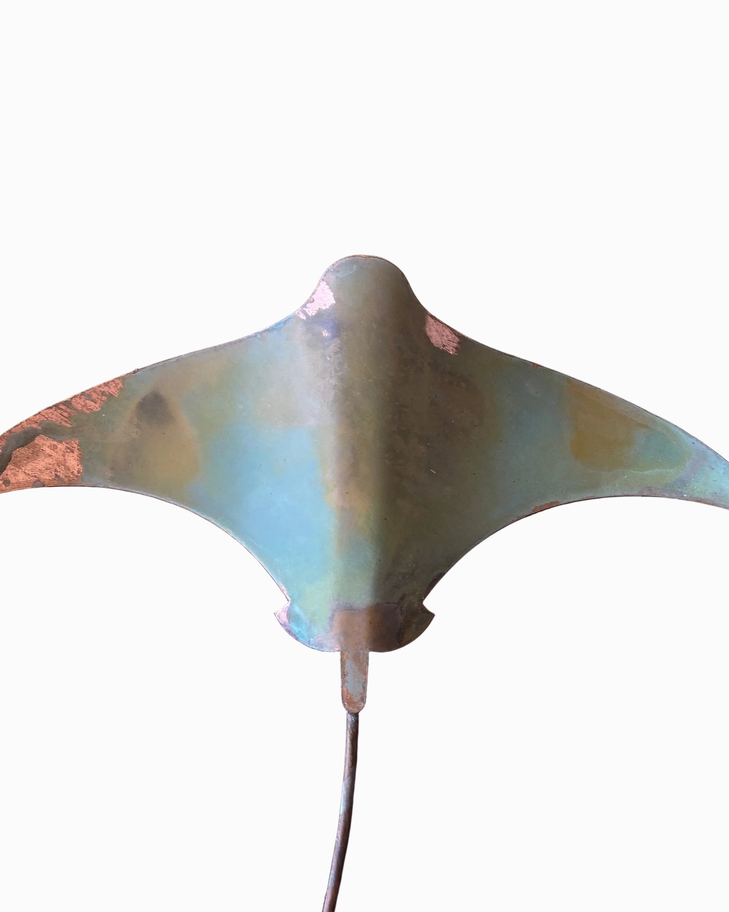 Stingrays - Set of four