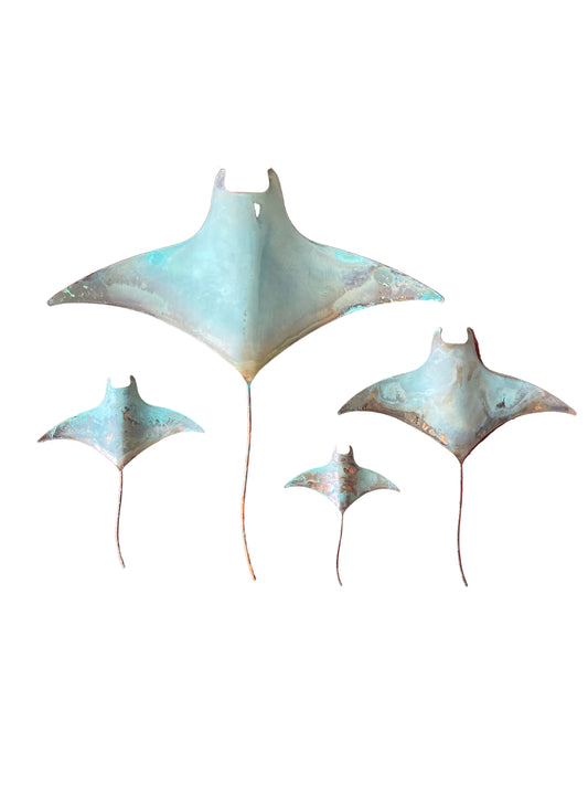 Manta Rays - Set of four