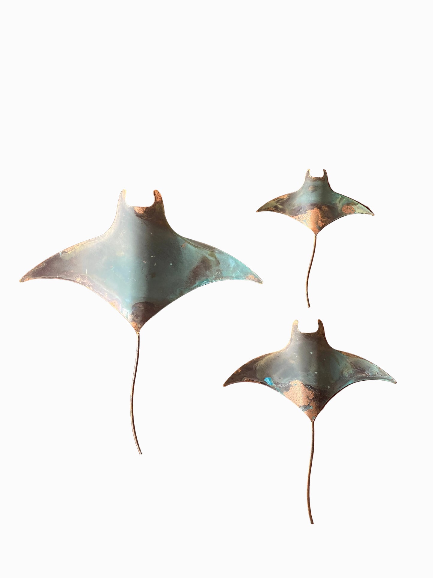 Manta Rays - Set of three