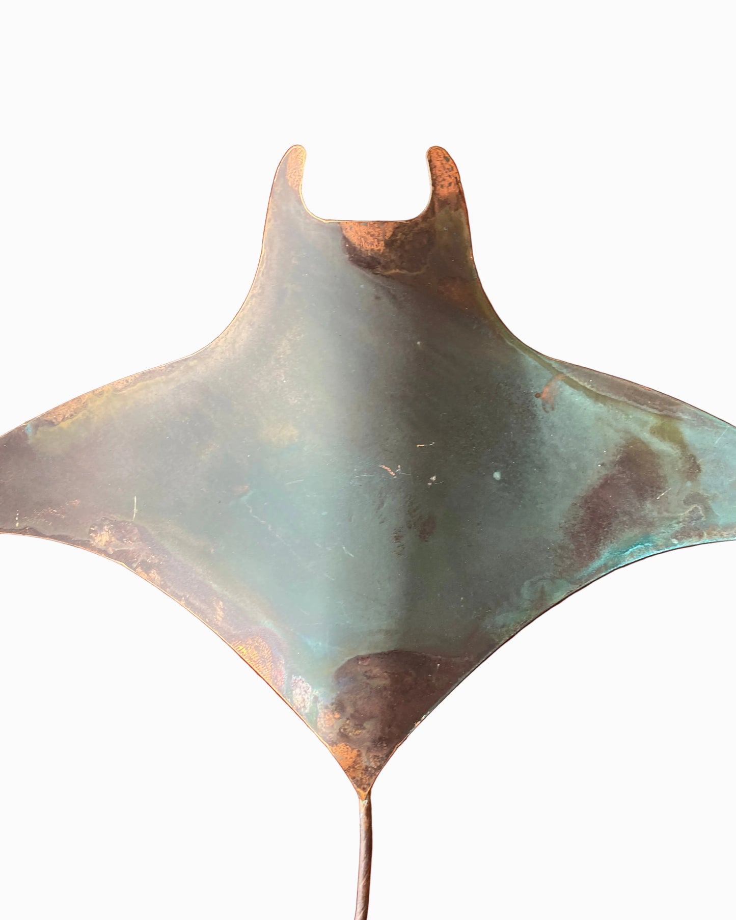 Manta Rays - Set of three