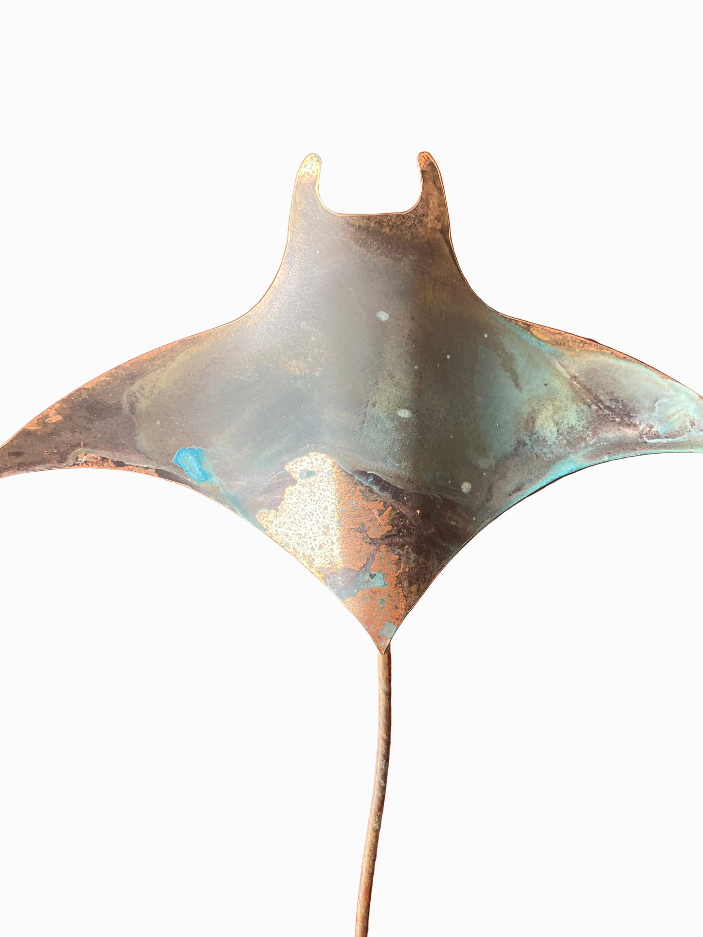 Manta Rays - Set of three