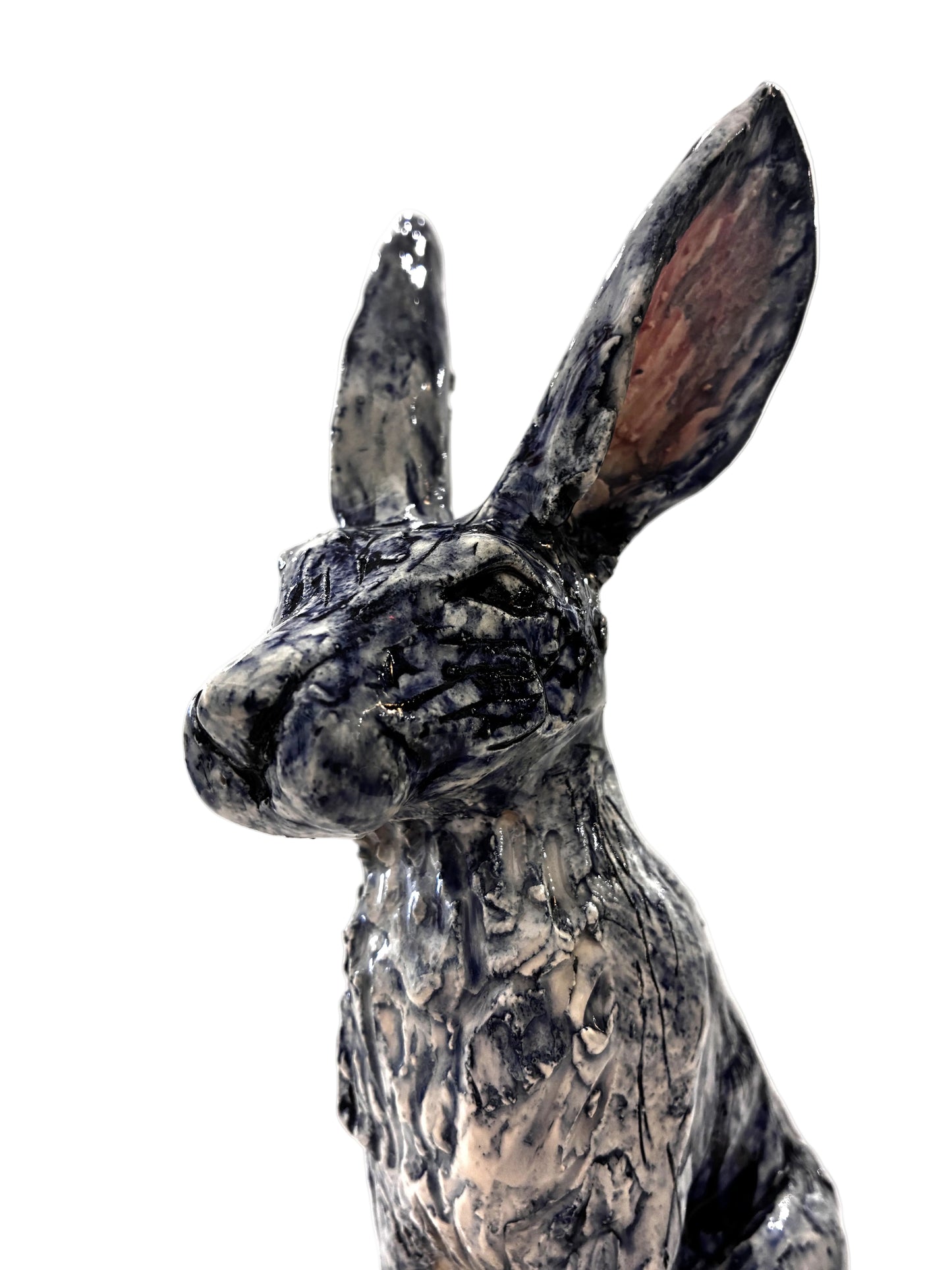 Large Hare