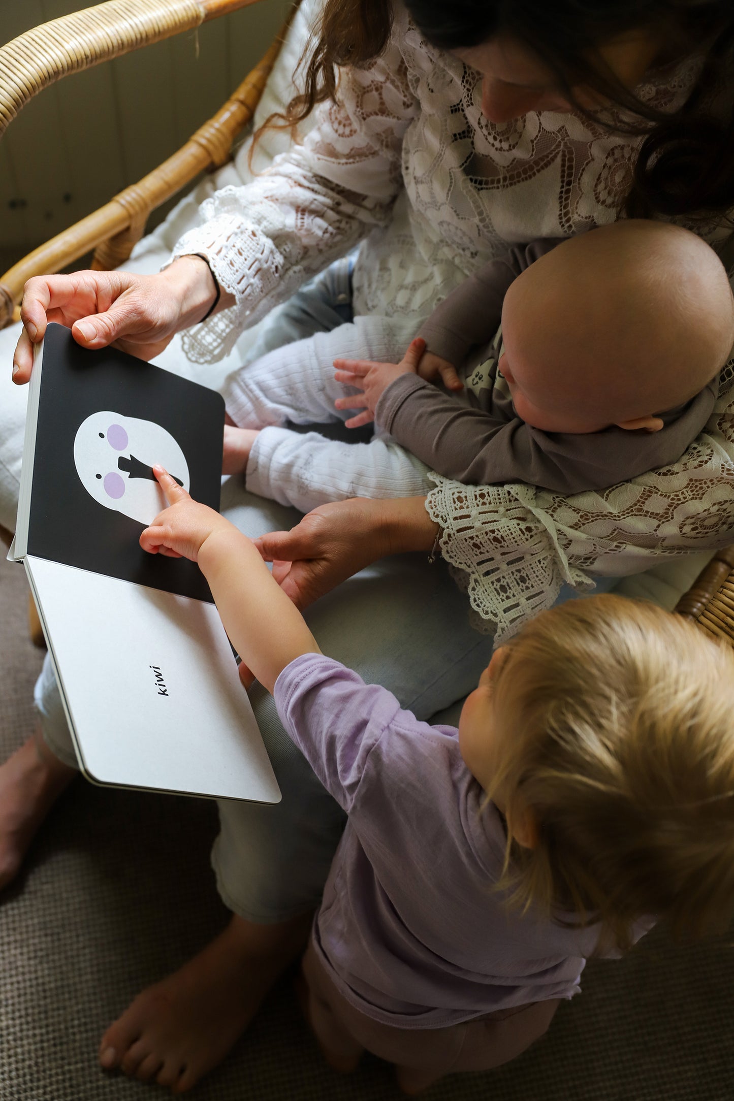 Native NZ Baby Meets Bird Book