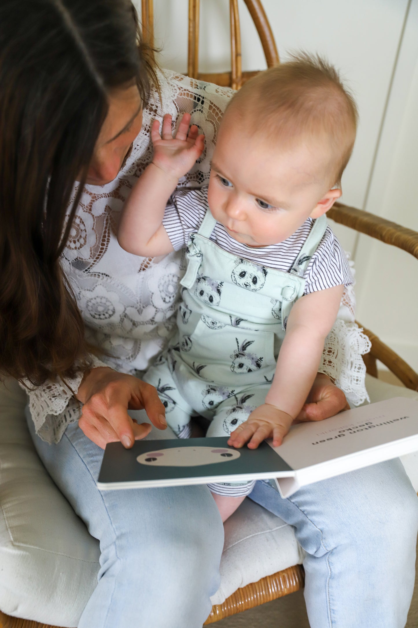 Native NZ Baby Meets Bird Book