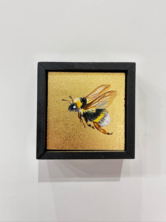Wee Bee IV