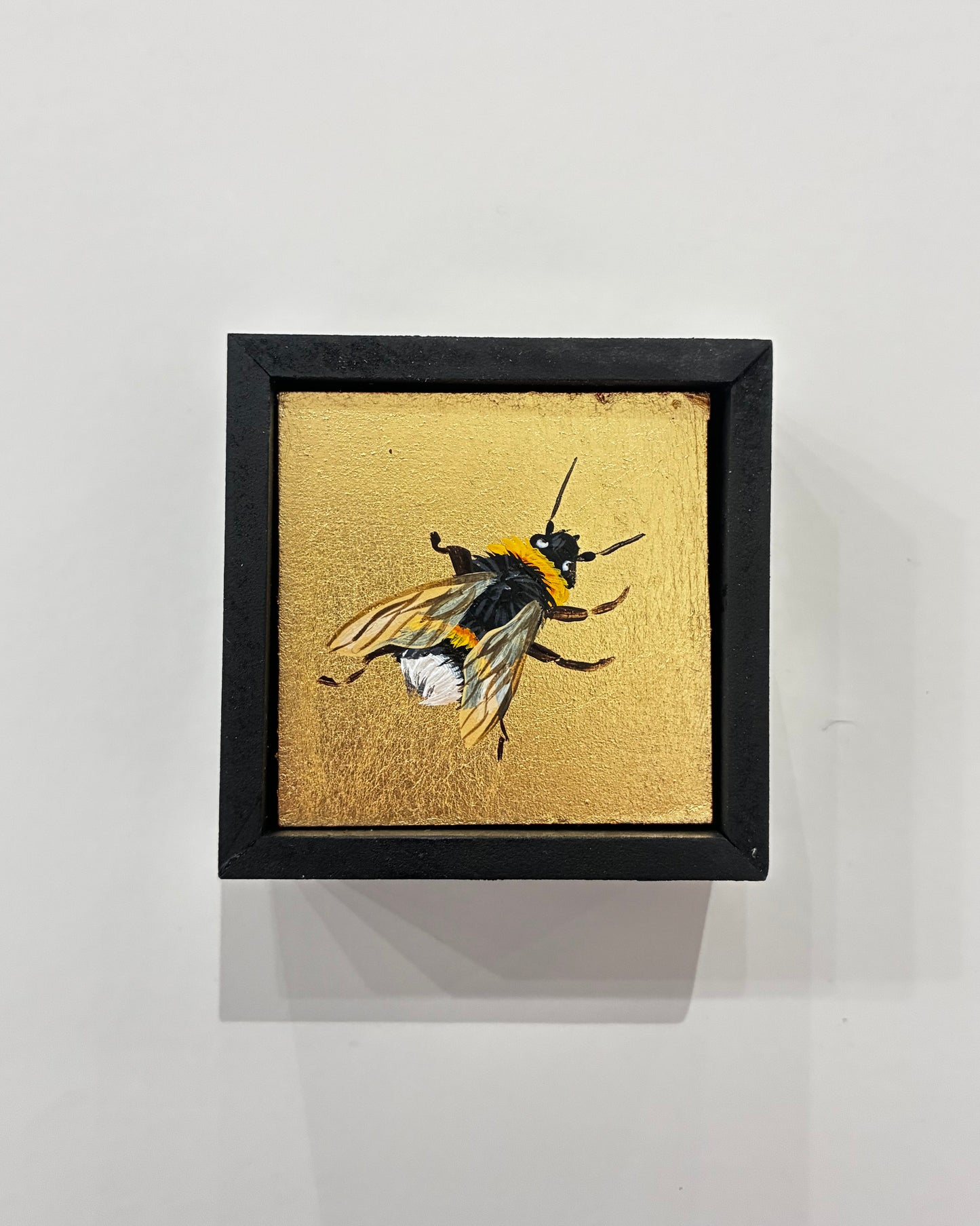 Wee Bee II