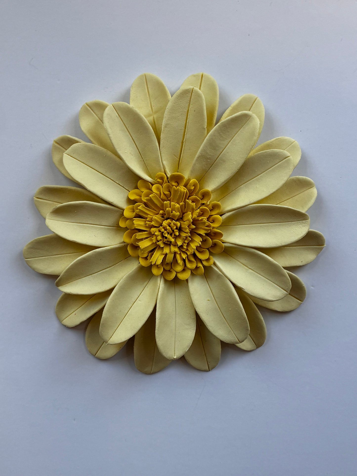 Daisy in Yellow
