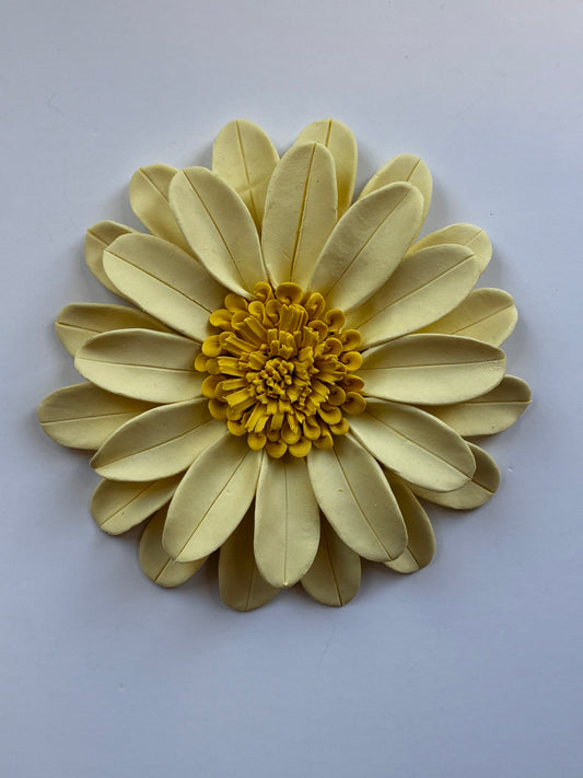 Daisy in Yellow