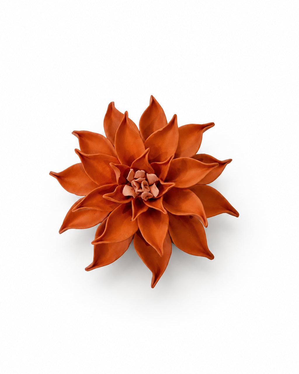 Dahlia in Orange