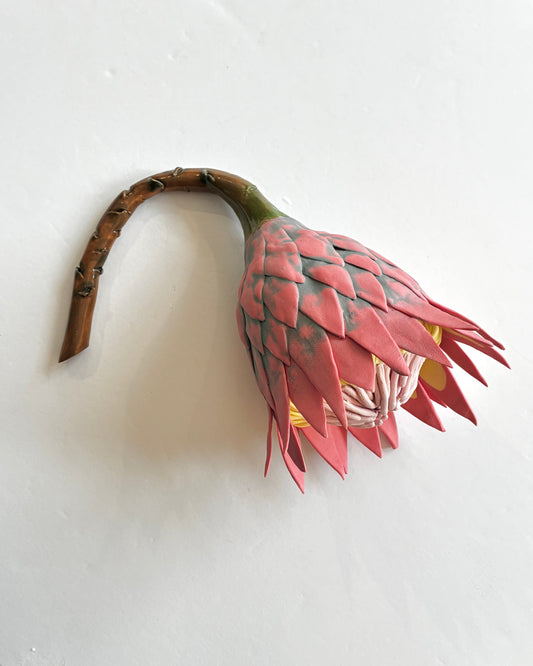 King Protea