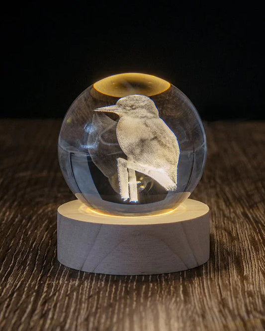 LED Globes