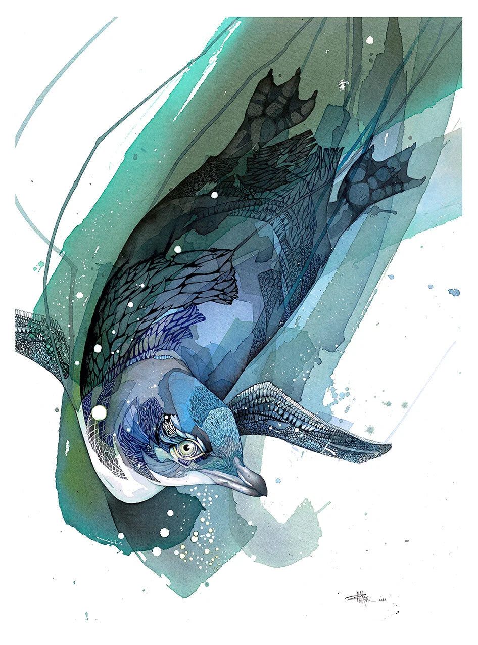 Little Blue Penguin - Original Painting